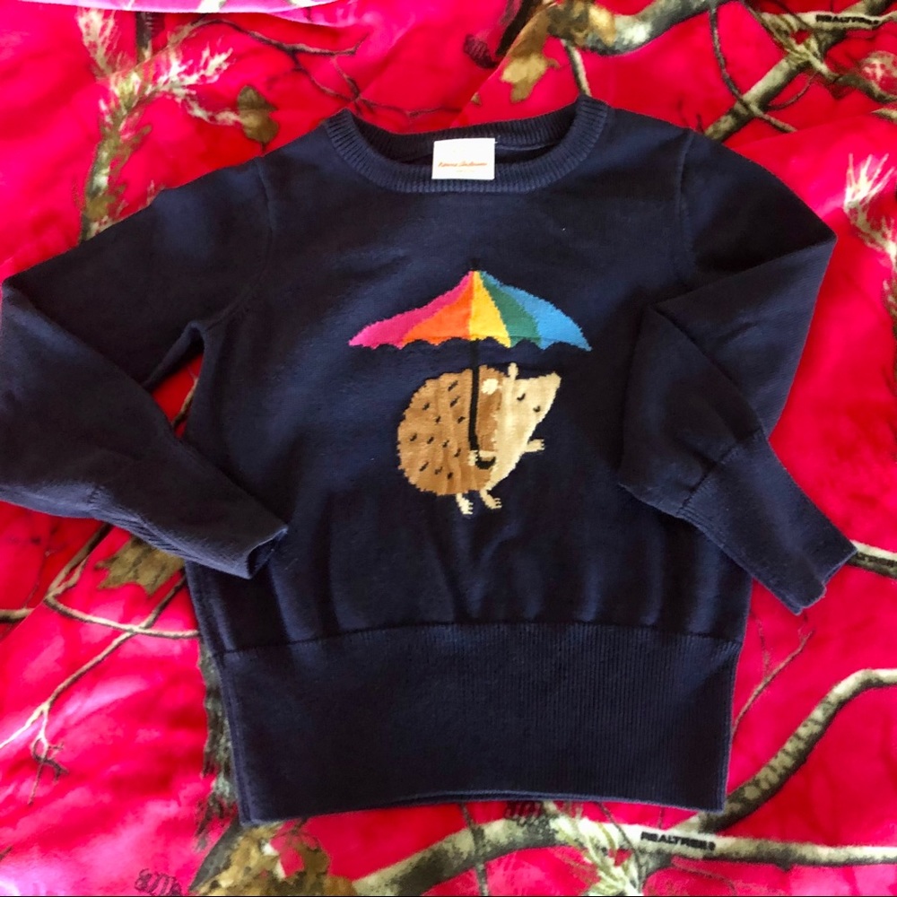 Hanna Andersson Hedgehog Rainbow Sweater-Navy